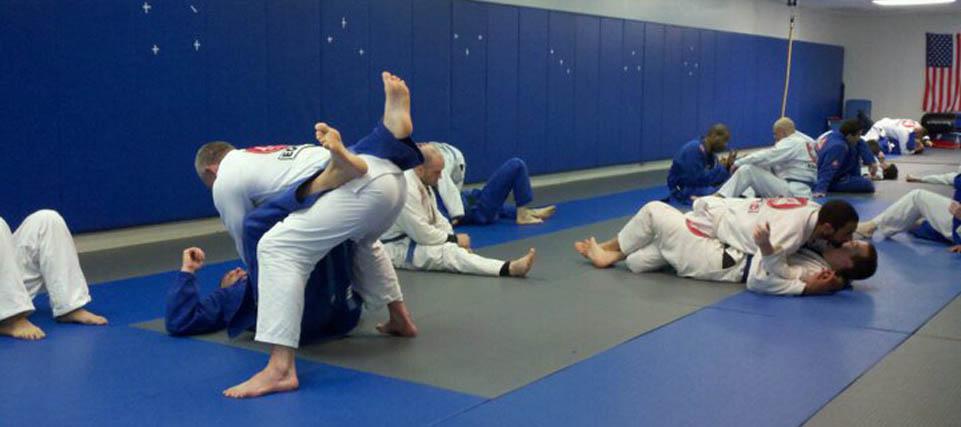 Brazilian Jiu-Jitsu Training